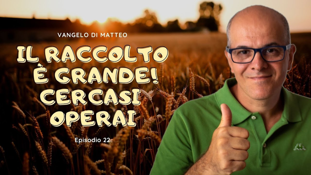 Il raccolto è grande: cercasi operai.